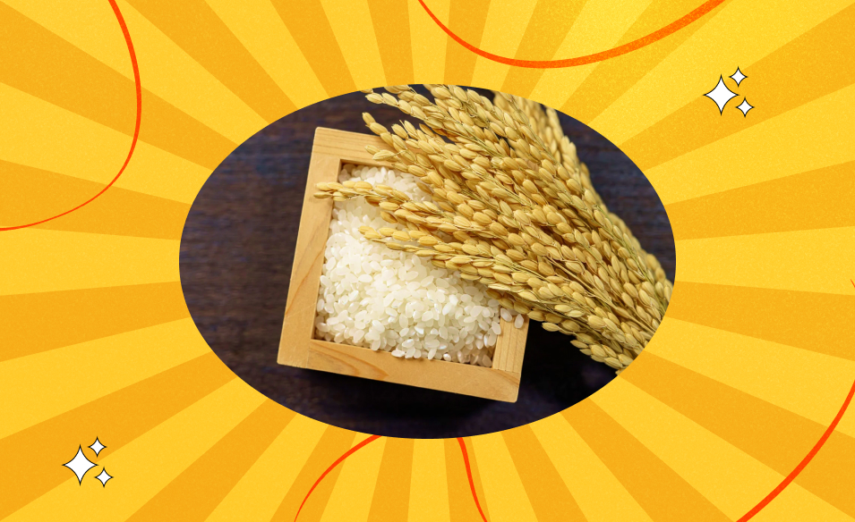 Buying Korean Rice in India