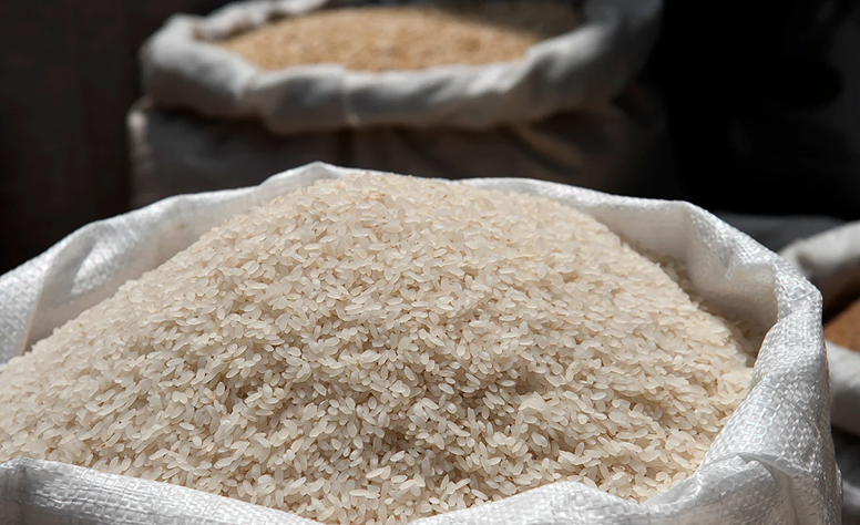 What Are Some Important Factors to Consider When You Buy Korean Rice in India_