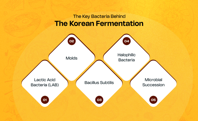 What Are The Key Bacteria Behind The Korean Fermentation_