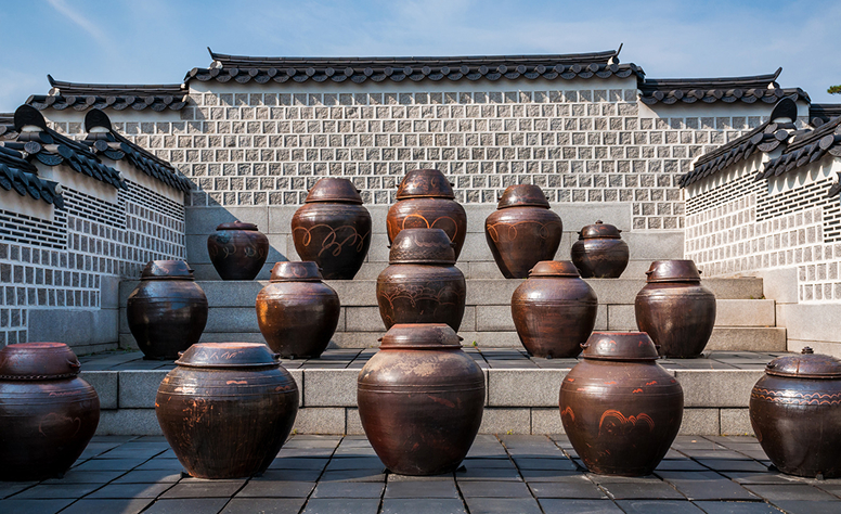 What Is The Historical And Cultural Significance Of Korean Fermentation Basics_